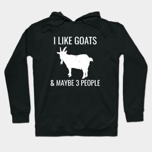 I Like Goats And Maybe 3 People Hoodie